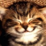 A Theory About How to be Happy at Work