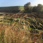 The Only Silver Bullet