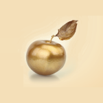 Radical Focus is HERE